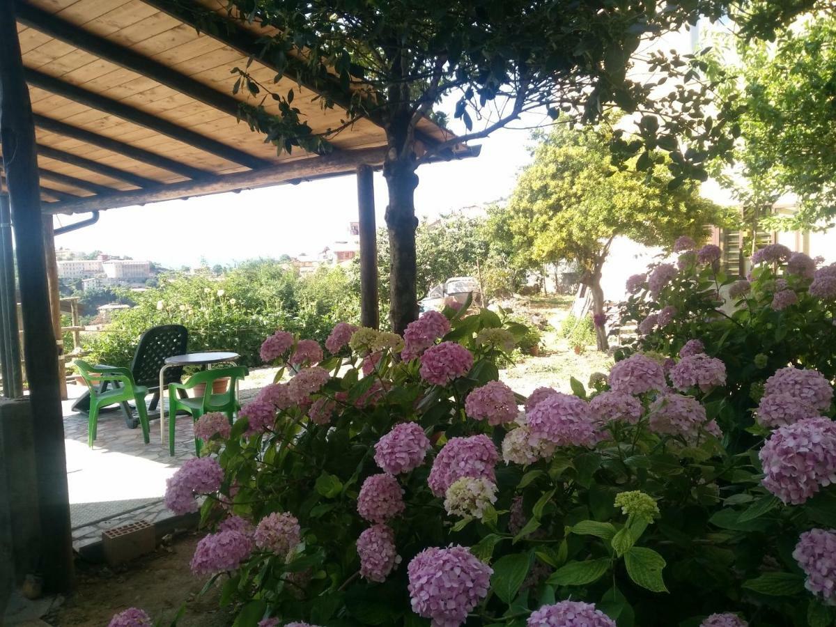 Aritzo Appartamento Romantico Kültér fotó